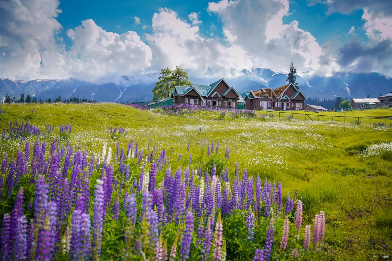The Destination scenery