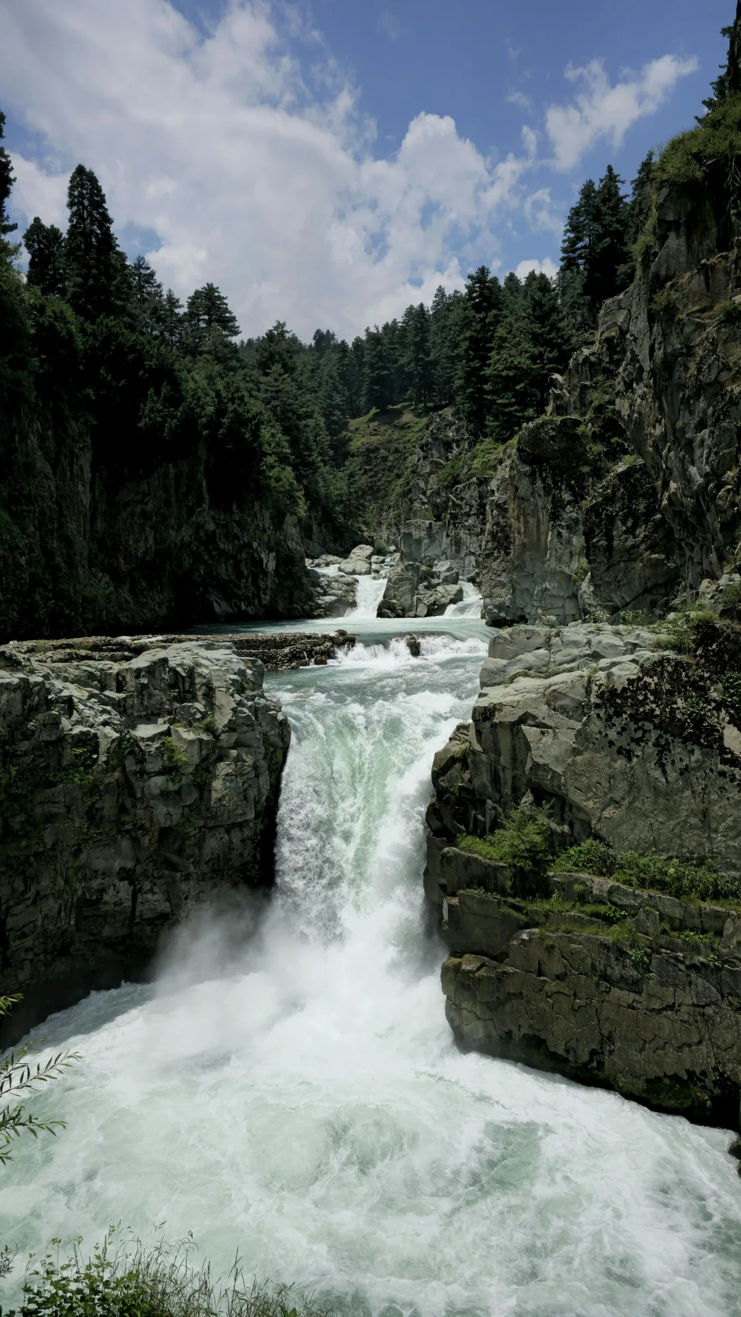 Aharbal
